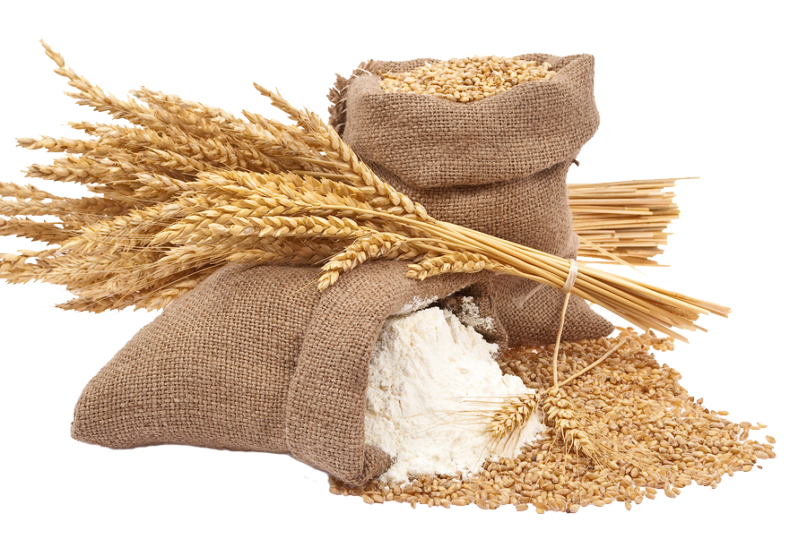 Wheat Flour, Wheat